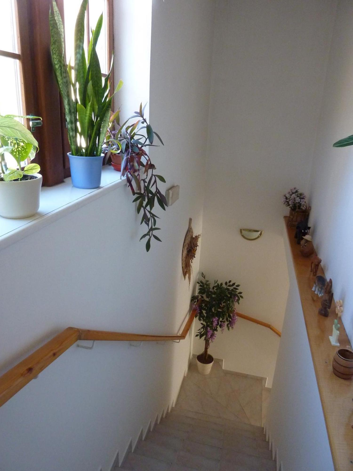 Pension Boruvka Spindleruv Mlyn Exterior photo